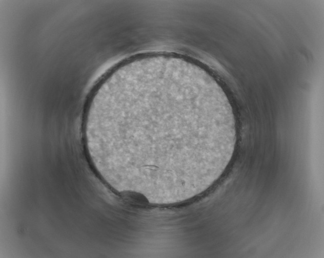 X0000113231216200910221032