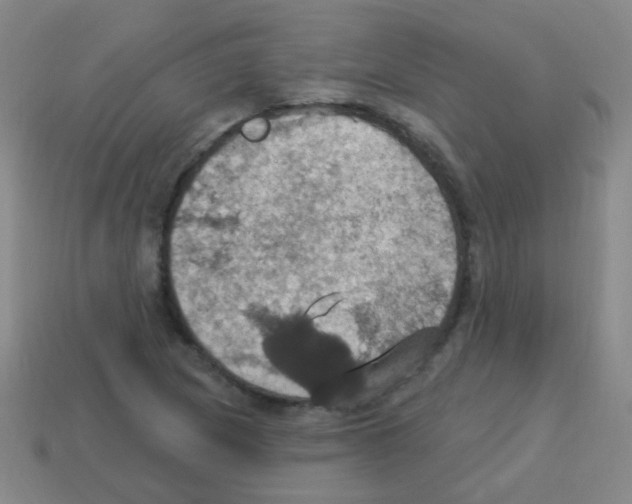 X0000113231217200910221032