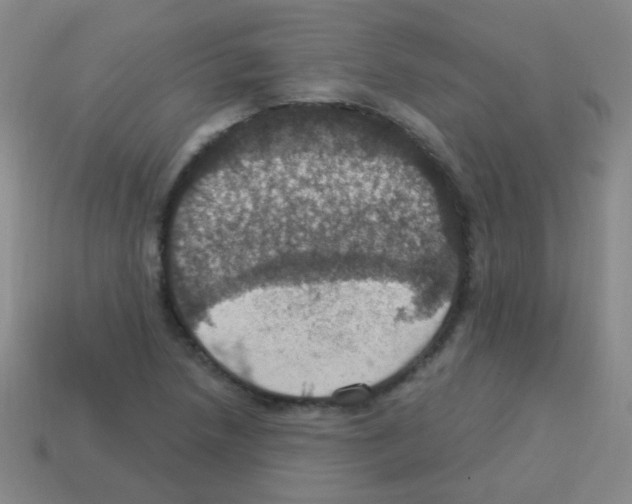 X0000113231218200910221032