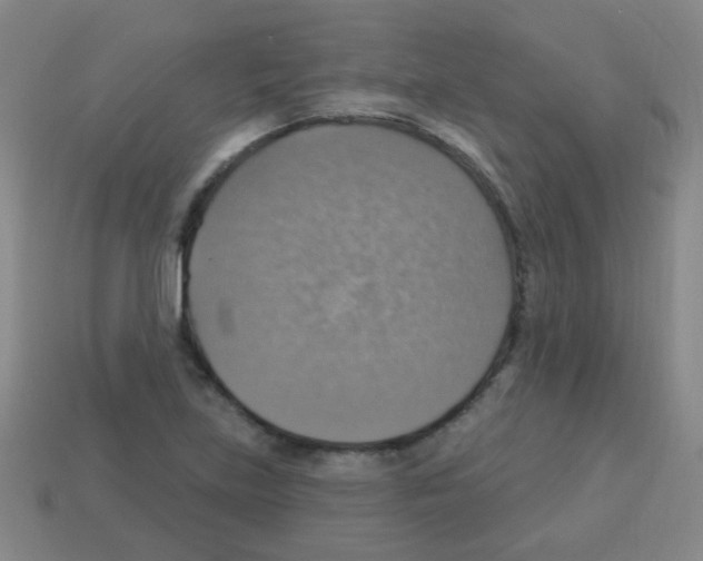 X0000113231219200910221032