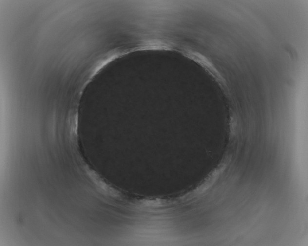 X0000113231220200910221032