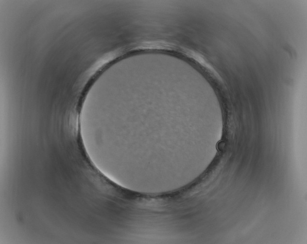 X0000113231221200910221032