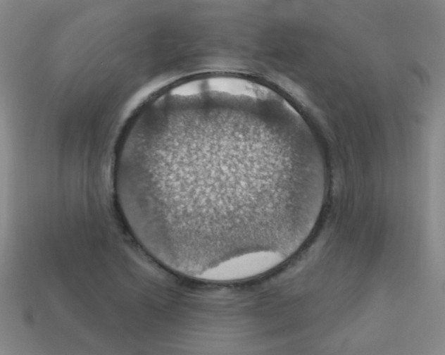 X0000113231222200910221032