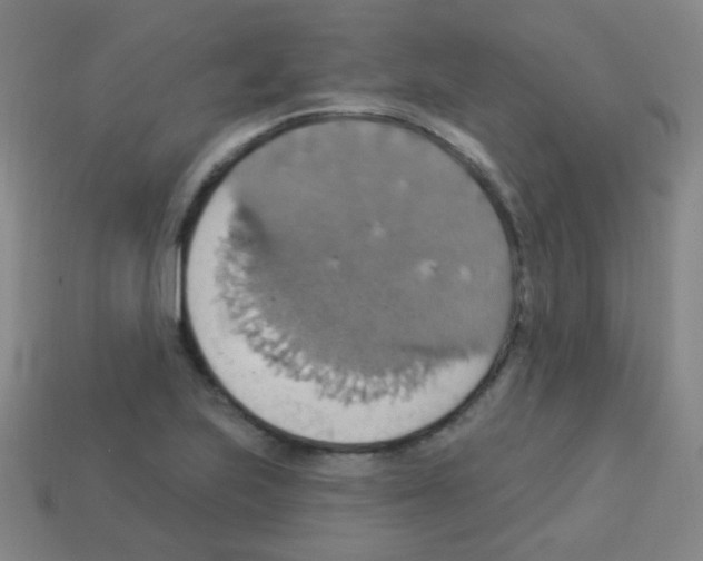 X0000113231223200910221032