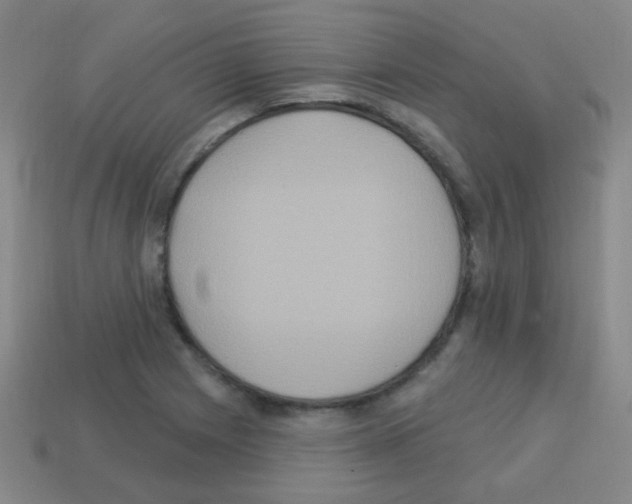 X0000113231225200910221032