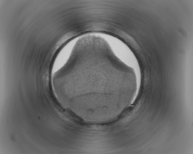 X0000113231226200910221032