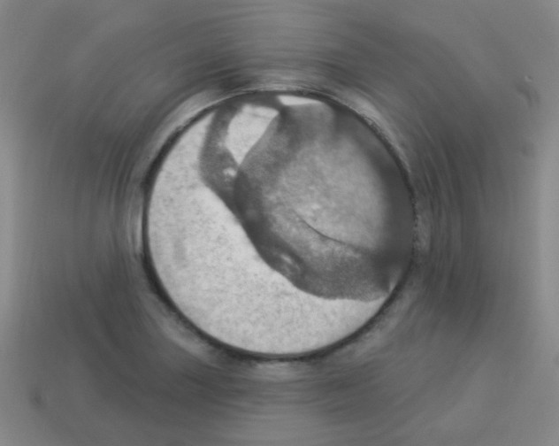 X0000113231227200910221032