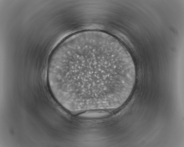 X0000113231228200910221032