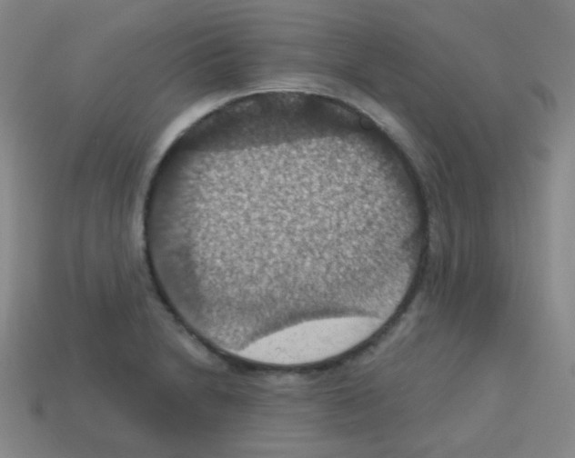 X0000113231230200910221032