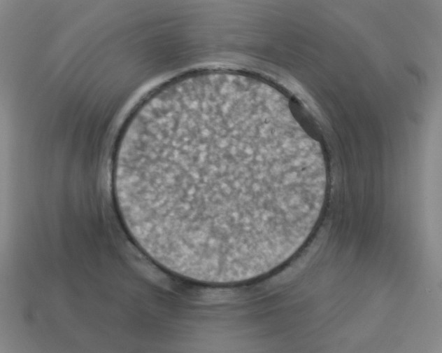 X0000113231232200910221032