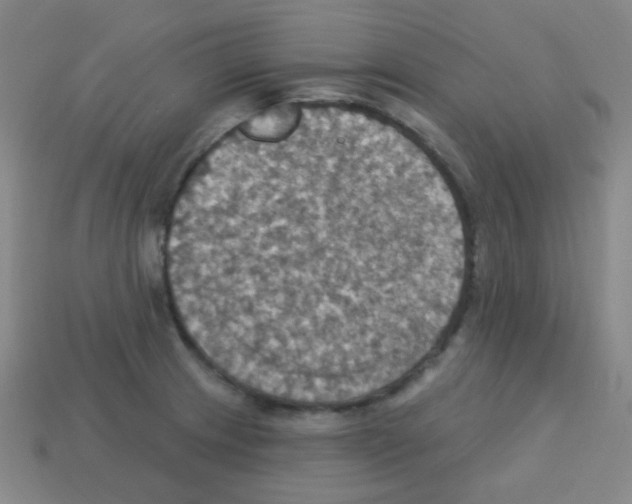 X0000113231233200910221032