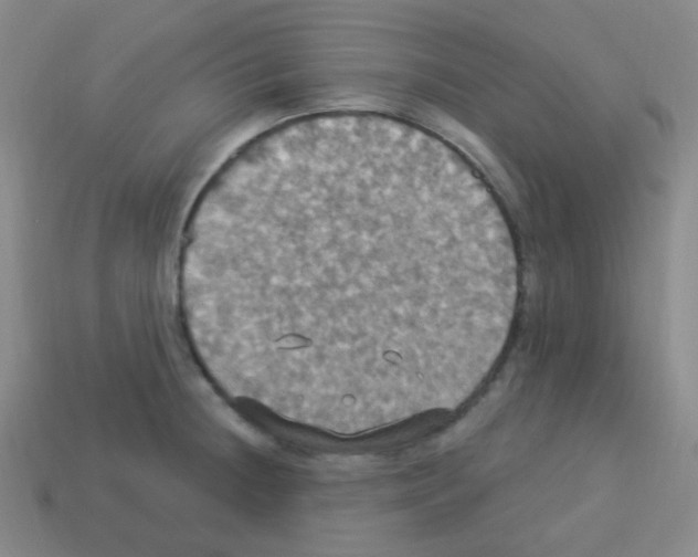 X0000113231236200910221032