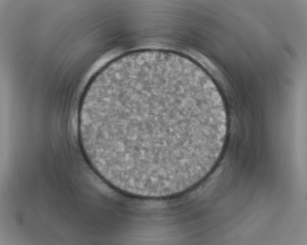 X0000113231238200910221032