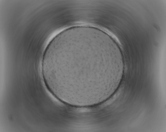 X0000113231239200910221032