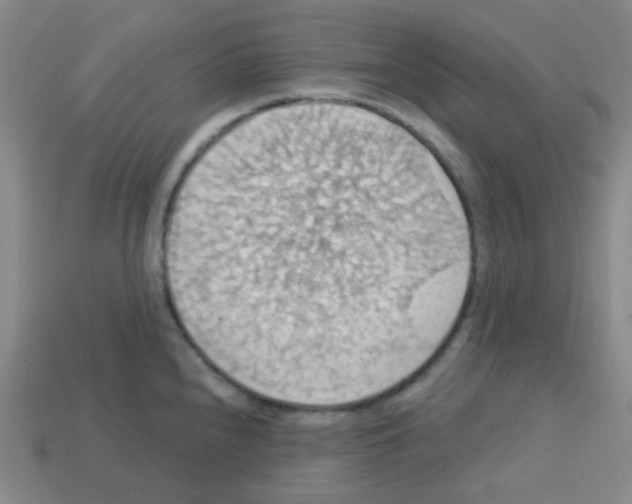 X0000113231240200910221032