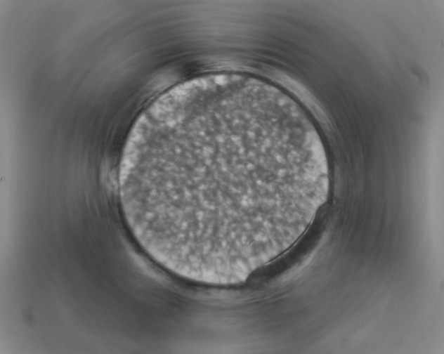 X0000113231241200910221032