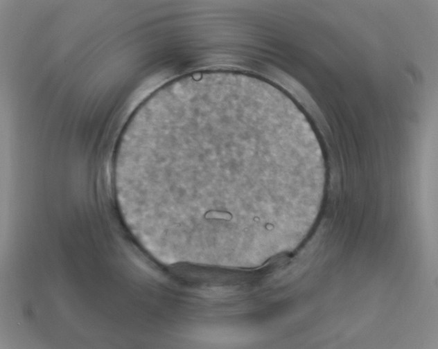 X0000113231242200910221033