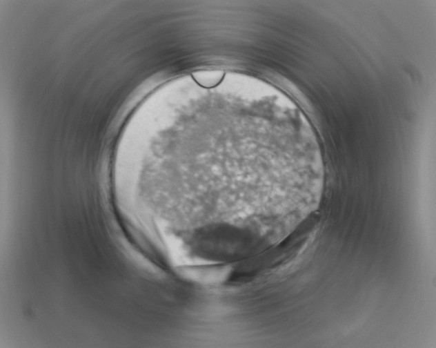 X0000113231243200910221033