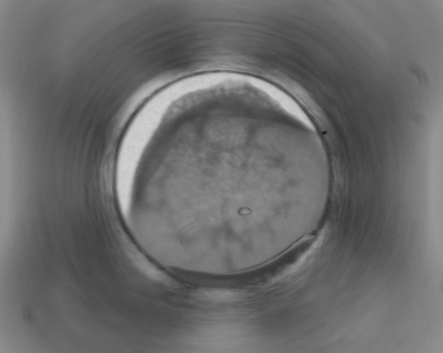 X0000113231246200910221033