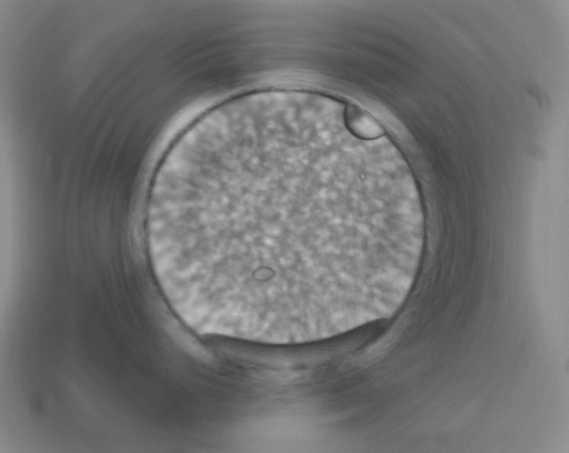 X0000113231248200910221033