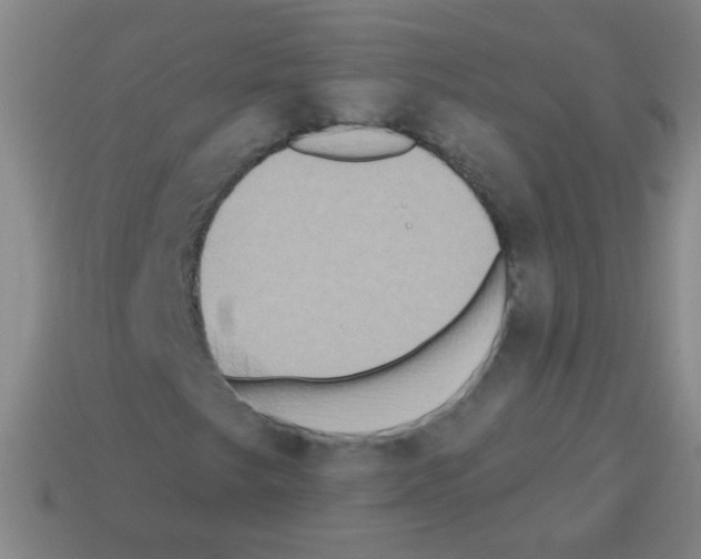 X0000113231249200910221032