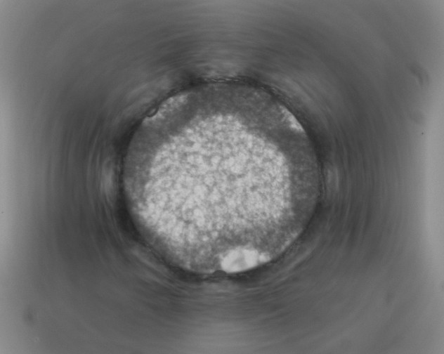 X0000113231250200910221032