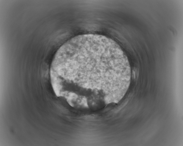 X0000113231251200910221032