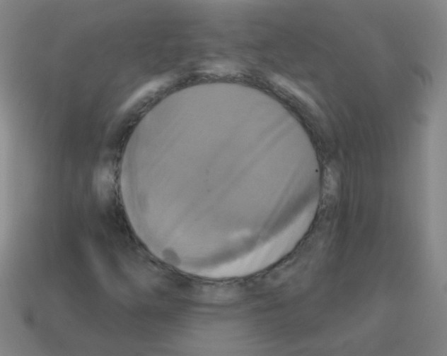 X0000113231254200910221032