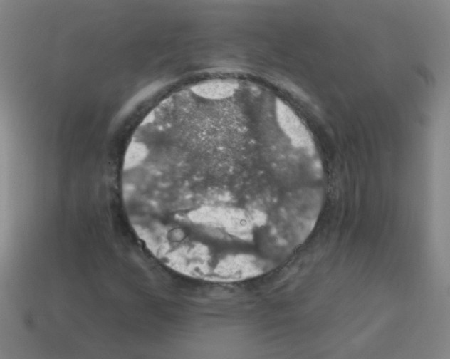 X0000113231255200910221032