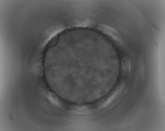 X0000113231256200910221032