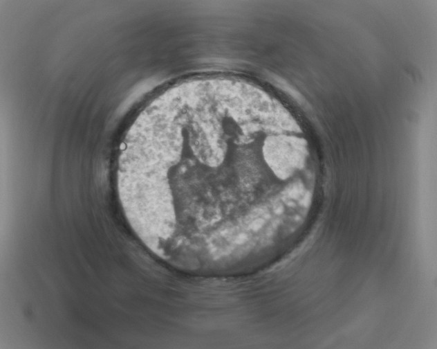 X0000113231259200910221032