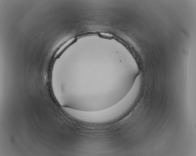 X0000113231261200910221032