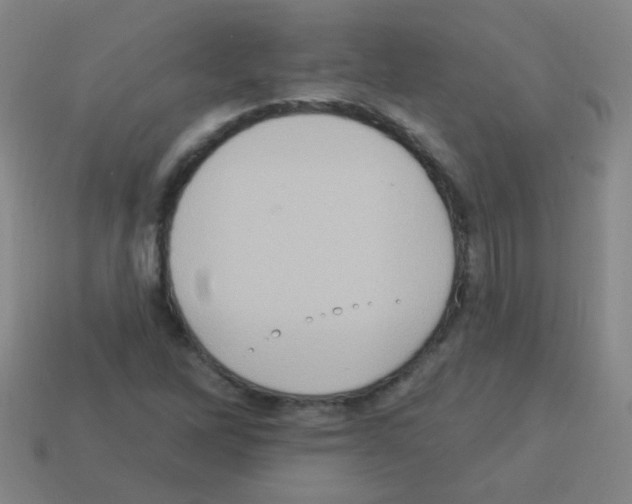 X0000113231262200910221032