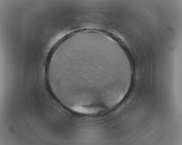 X0000113231263200910221032