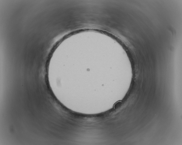 X0000113231264200910221032