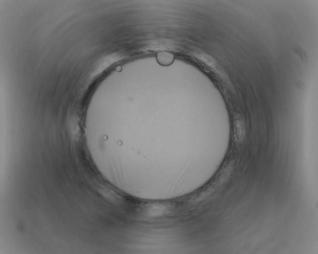 X0000113231266200910221032