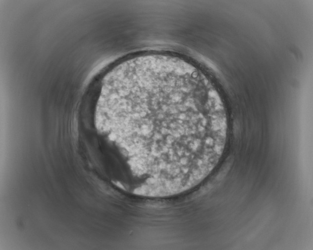 X0000113231267200910221032