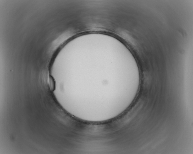 X0000113231269200910221032