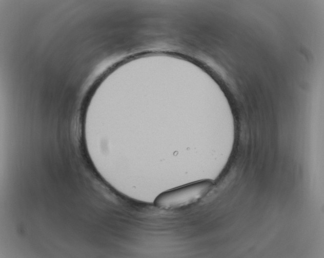 X0000113231270200910221032