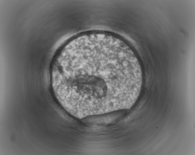 X0000113231271200910221032