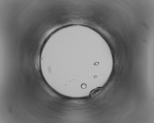 X0000113231272200910221032