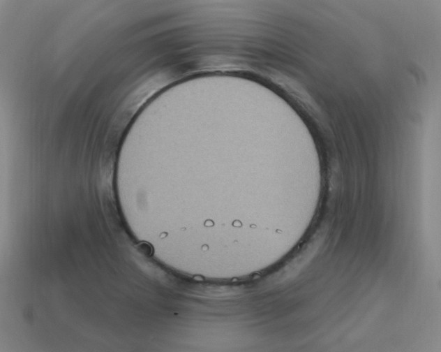 X0000113231273200910221032