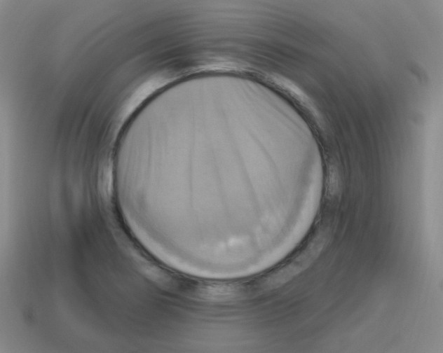 X0000113231274200910221032