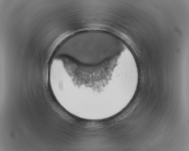 X0000113231275200910221032