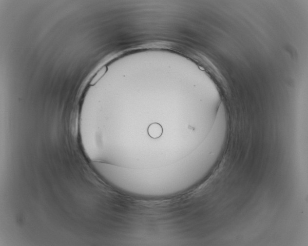 X0000113231276200910221032