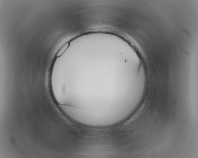 X0000113231277200910221032