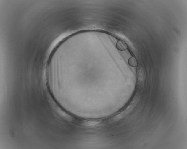 X0000113231278200910221032