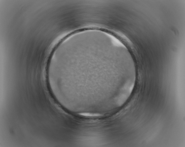 X0000113231279200910221032