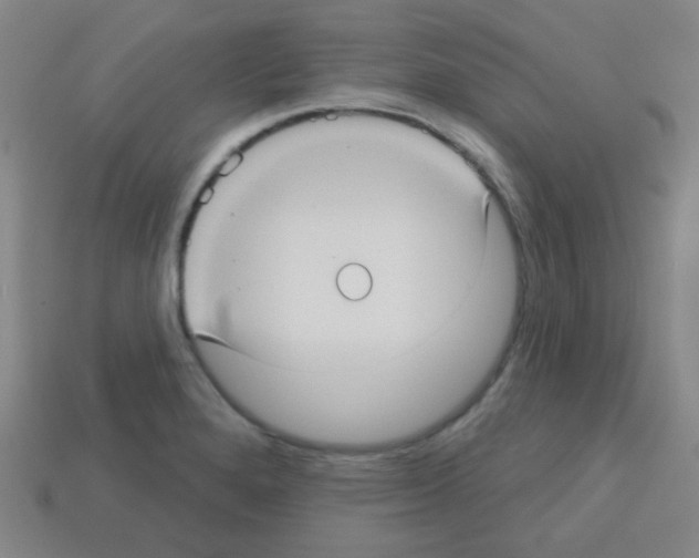 X0000113231280200910221032