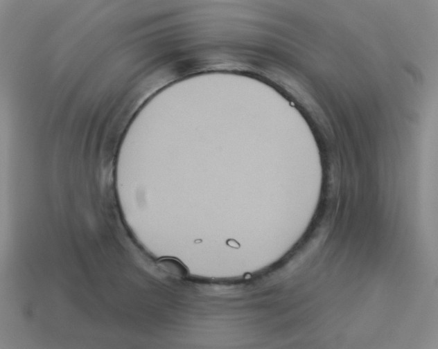 X0000113231281200910221032